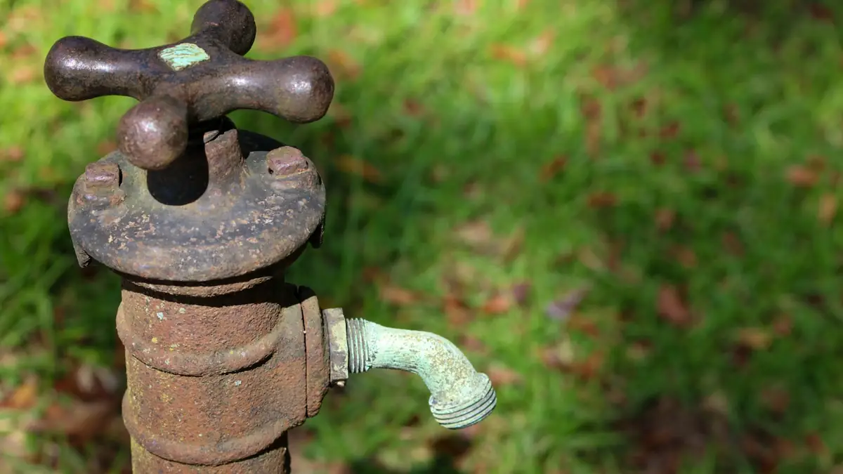 An old iron yard hydrant with a green brass spout on a lawn - Basement Leak Detection in Cape Girardeau